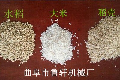 家庭式碾米機(jī)在沾化縣的應(yīng)用及小型組合打米機(jī)制作技術(shù)解析